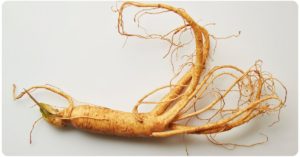 6 American Ginseng Benefits: Dosage & Safety | The Botanical Institute