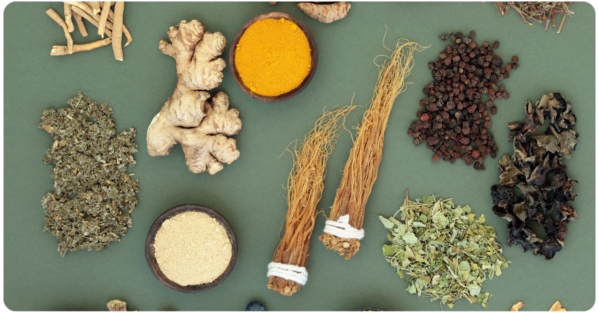 Rasayana Herbs Benefits, History, And Usage The Botanical Institute