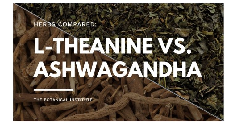 Ashwagandha Vs. L-Theanine: Similarities & Differences Explained | The