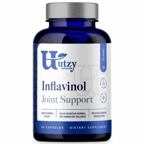 Best Ginger Supplement 2022 Review The Botanical Institute