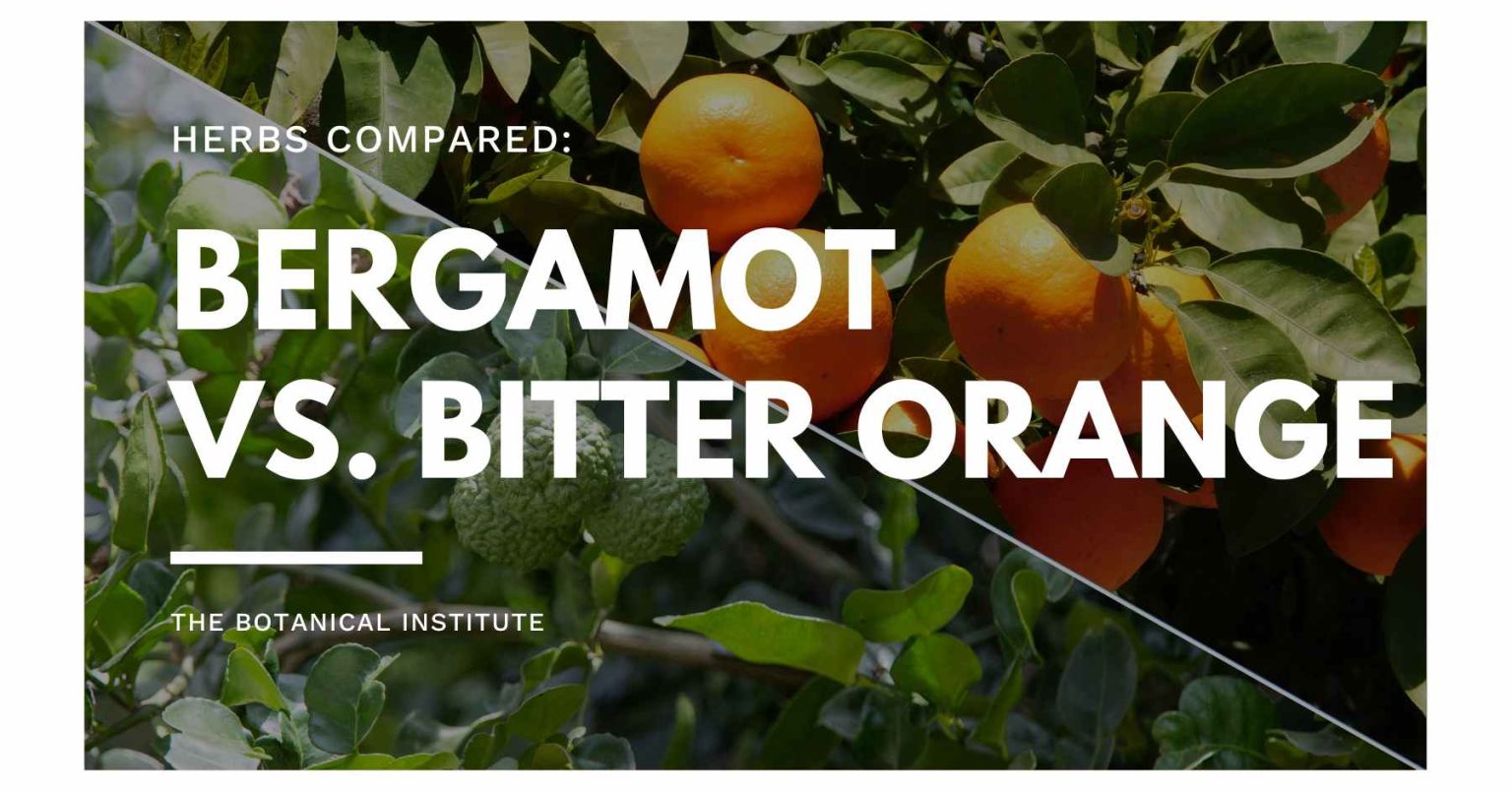 Citrus Bergamot Vs. Bitter Orange Similarities & Differences The