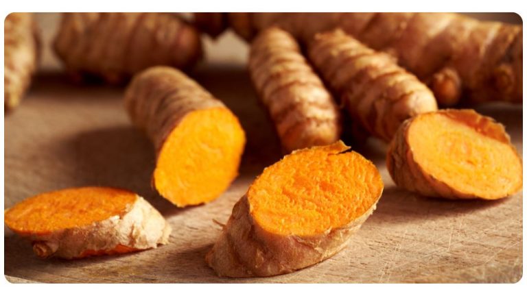 The 4 Best Herbs For PCOS | The Botanical Institute